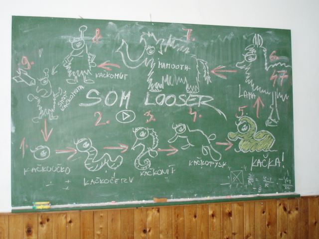 p2010237.jpg (large)