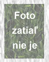 Marián Bein
 bez fotky